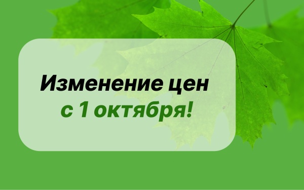 Изменение цен на ряд продукции «СПДС»