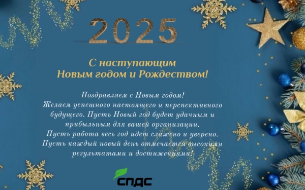 Поздравляем с Новым 2025 годом и Рождеством!
